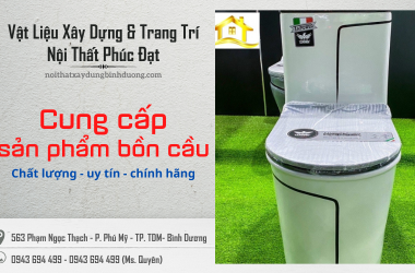 Đơn vị cung cấp bồn cầu vệ sinh chất lượng - uy tín - chính hãng tại Bình Dương
