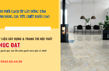 Đại lý phân phối gạch ốp lát Đồng Tâm khu vực Bình Dương, Bình Phước, Sài Gòn