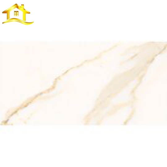 4080 REGAL 005 – H+