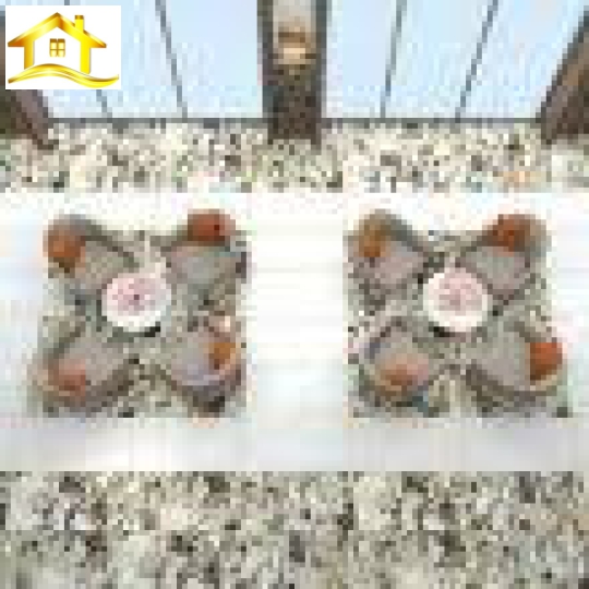 Gạch Đông Tâm 60120LANGBIANG003FP-H+