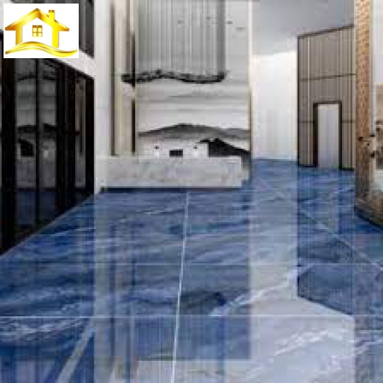 Gạch Đông Tâm 60120LANGBIANG005FP-H+