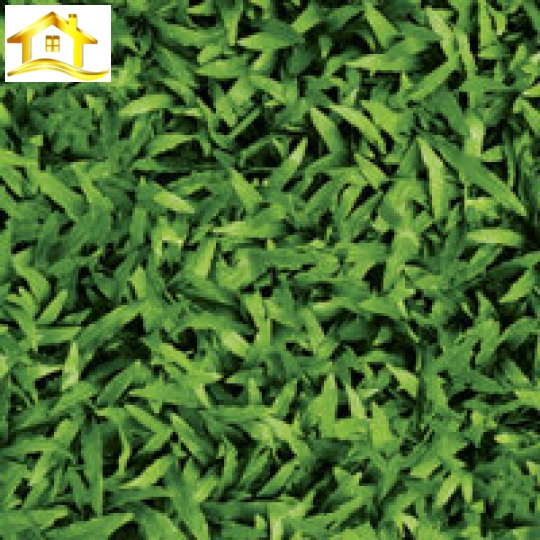 GẠCH GRANITE 4040CLG001