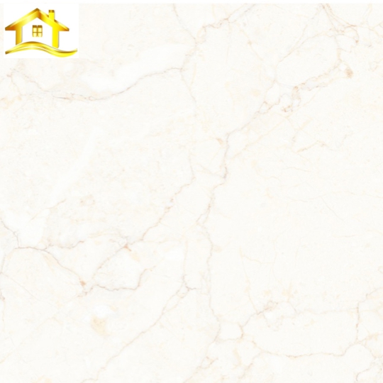  GẠCH PORCELAIN 6060VAMCODONG005-FP