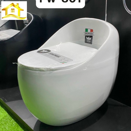 Bồn cầu 1 khối trứng PW-801