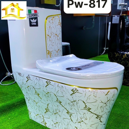 Bồn cầu 1 khối PW-817