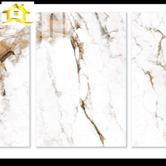 Gạch kích thước 80x120 mã số M81DT904